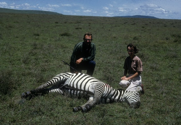 Hunters with a zebra