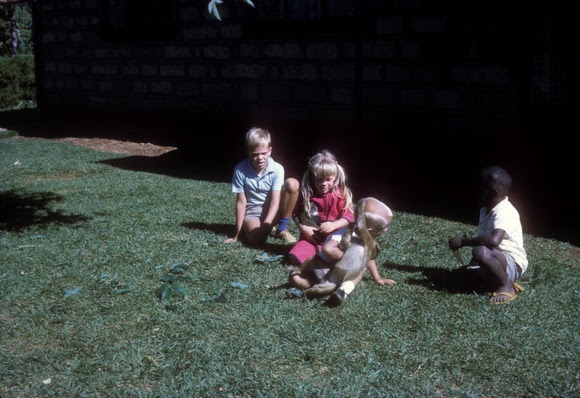 Four children playing with a young baboon