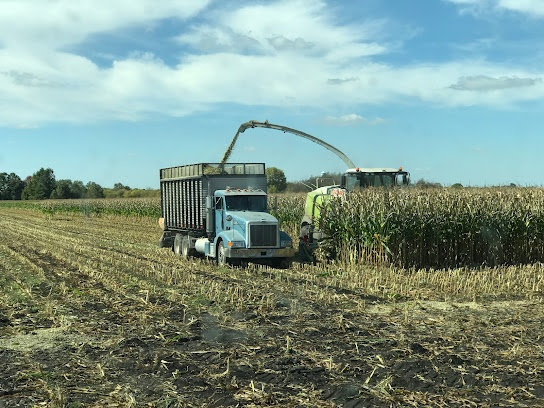 Corn harvester loading a truck